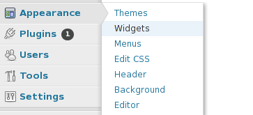 widgets wordpress