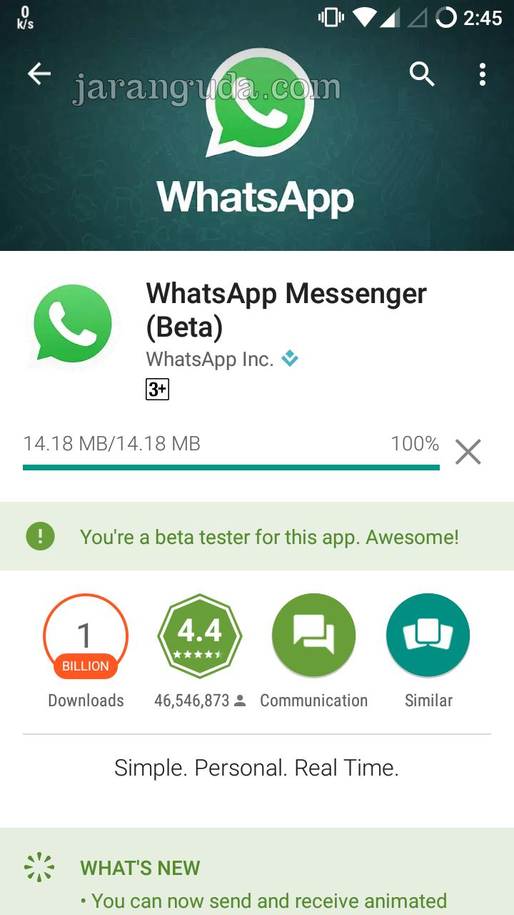 video call whatsapp web app