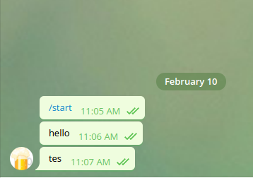 chat dengan bot telegram