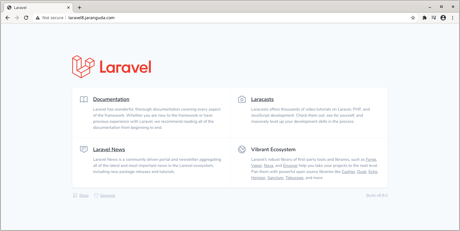 Laravel steam auth фото 67