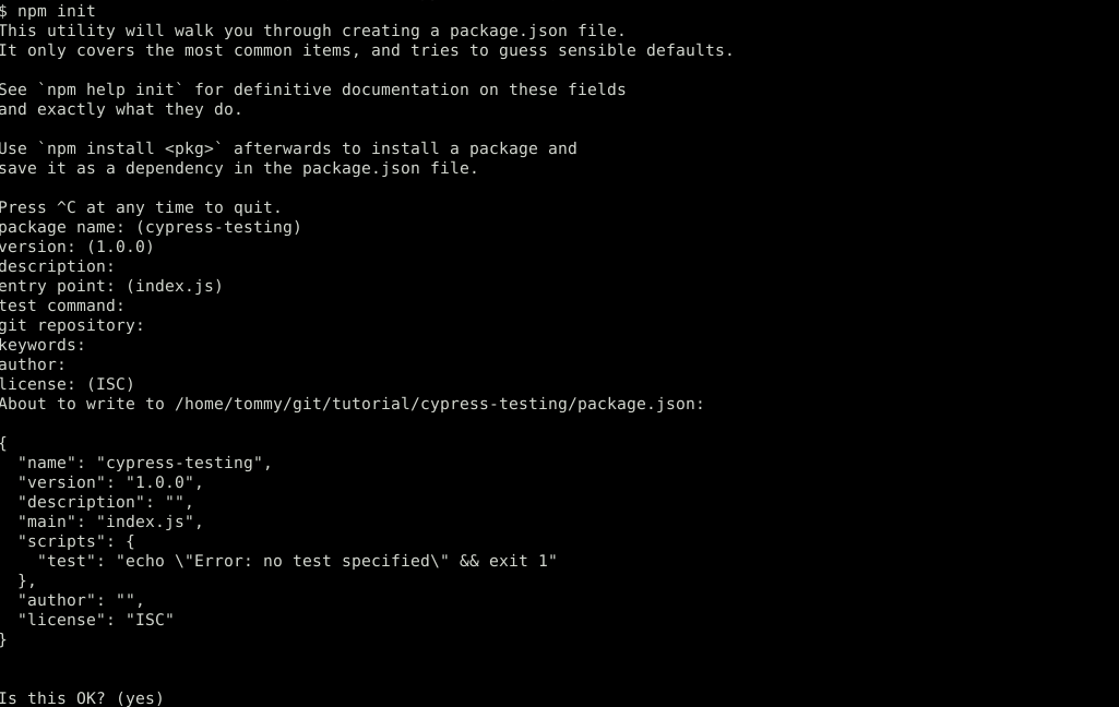 npm init terminal linux