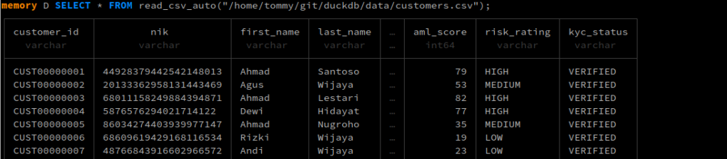 data customers dummy